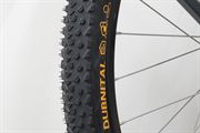 Continental Dubnital Race Rapid 2.00 / 50 2026
