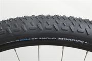 Schwalbe G-One RX Pro (black) 55 2026