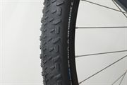 Schwalbe G-One RX Pro (black) 55 2026