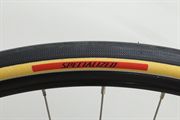 Specialized Cotton TLR 28 2026 Specialized Cotton TLR 28 2026
