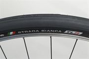 Challenge Strada Bianca Race TLR 36 2022 Challenge Strada Bianca Race TLR 36 2022