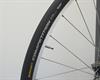 Continental Competition (tubular) 25 2016 Continental Competition (tubular) 25 2016