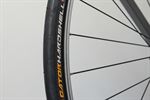 Continental Gator Hardshell 25 2019 Continental Gator Hardshell 25 2019