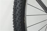Continental Race King Protection 2020 Continental Race King Protection 2020