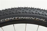 Continental Race King Protection (E-25) 2024 Continental Race King Protection (E-25) 2024