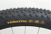 Continental Trinotal Race Rapid 2025 Continental Trinotal Race Rapid 2025