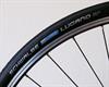 Schwalbe Lugano 25 2015 Schwalbe Lugano 25 2015
