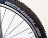 Schwalbe Racing Ralph TL-R PaceStar 2014 Schwalbe Racing Ralph TL-R PaceStar 2014