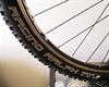 Schwalbe Racing Ralph TL-R PaceStar 2014 Schwalbe Racing Ralph TL-R PaceStar 2014