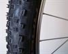 Schwalbe Racing Ralph TL-E PaceStar 2015 Schwalbe Racing Ralph TL-E PaceStar 2015