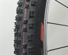 Schwalbe Racing Ralph TL-E Addix Speed 2017 Schwalbe Racing Ralph TL-E Addix Speed 2017