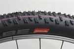 Schwalbe Racing Ralph 2019 TLE Addix Speed 2019 Schwalbe Racing Ralph 2019 TLE Addix Speed 2019