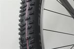 Schwalbe Racing Ralph 2019 TLE Addix Speed 2019 Schwalbe Racing Ralph 2019 TLE Addix Speed 2019