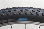 Schwalbe Racing Ray TLE Addix SpeedGrip 2019 Schwalbe Racing Ray TLE Addix SpeedGrip 2019
