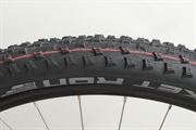 Schwalbe Rocket Ron Super Race Addix Speed 2024
