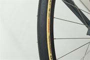 Vittoria Corsa Pro Control TLR 34 2024