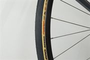 Vittoria Corsa Pro Speed TLR WR 29 2025